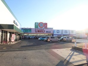 ドラッグストア