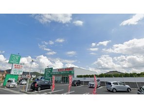 ドラッグストア