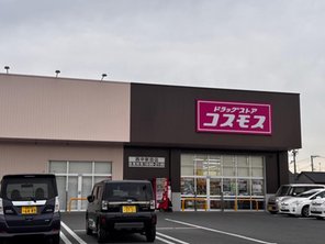 ドラッグストア