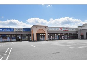 ドラッグストア