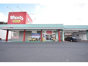 ドラッグストア