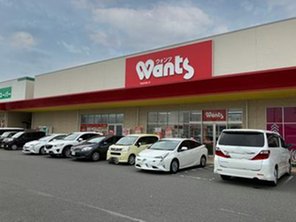 ドラッグストア