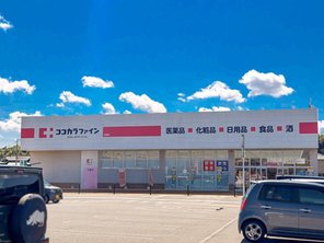 ドラッグストア