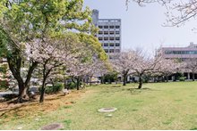 ビバシティ桜町公園Bloomsの周辺環境の特徴画像