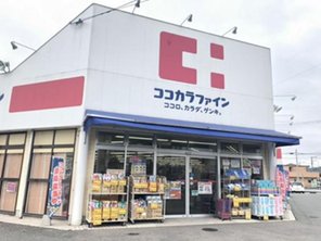 ドラッグストア