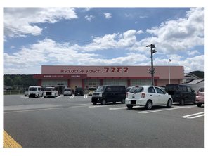 ドラッグストア